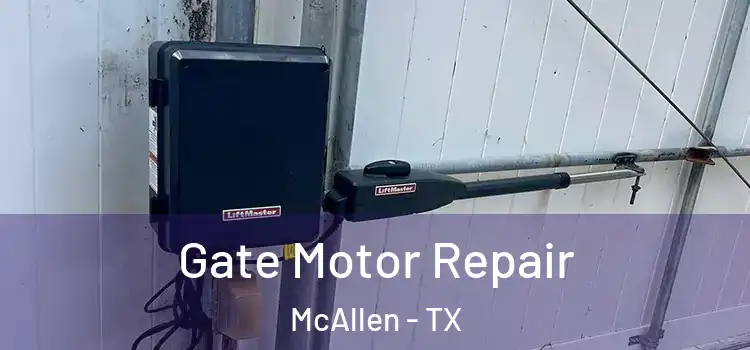 Gate Motor Repair McAllen - TX